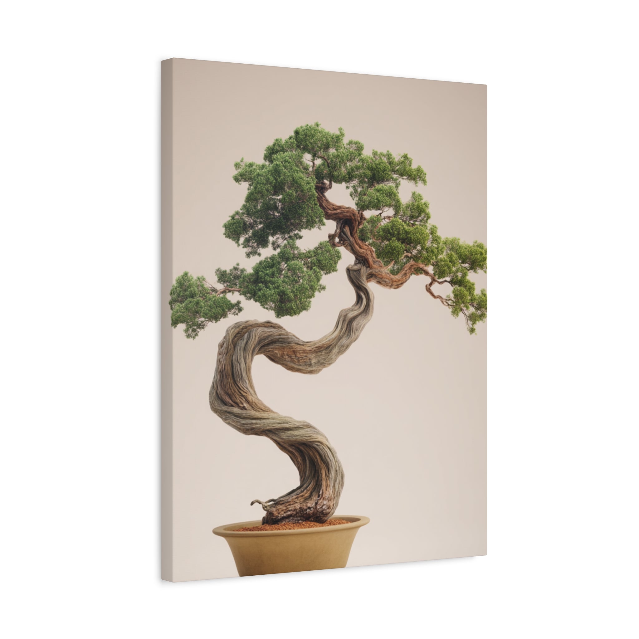 Bonsai Tree Matte Canvas Wall Art – Stretched 1.25"