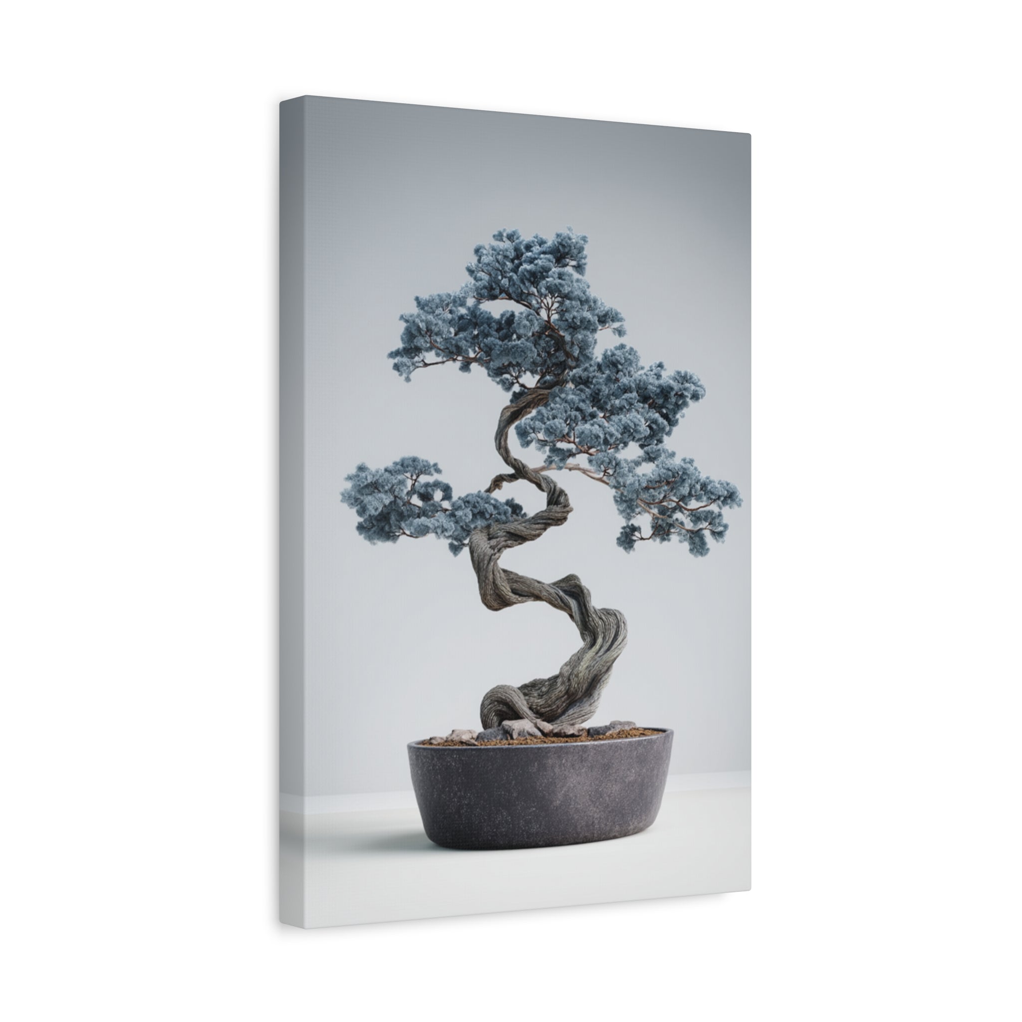 Slate Horizon Bonsai