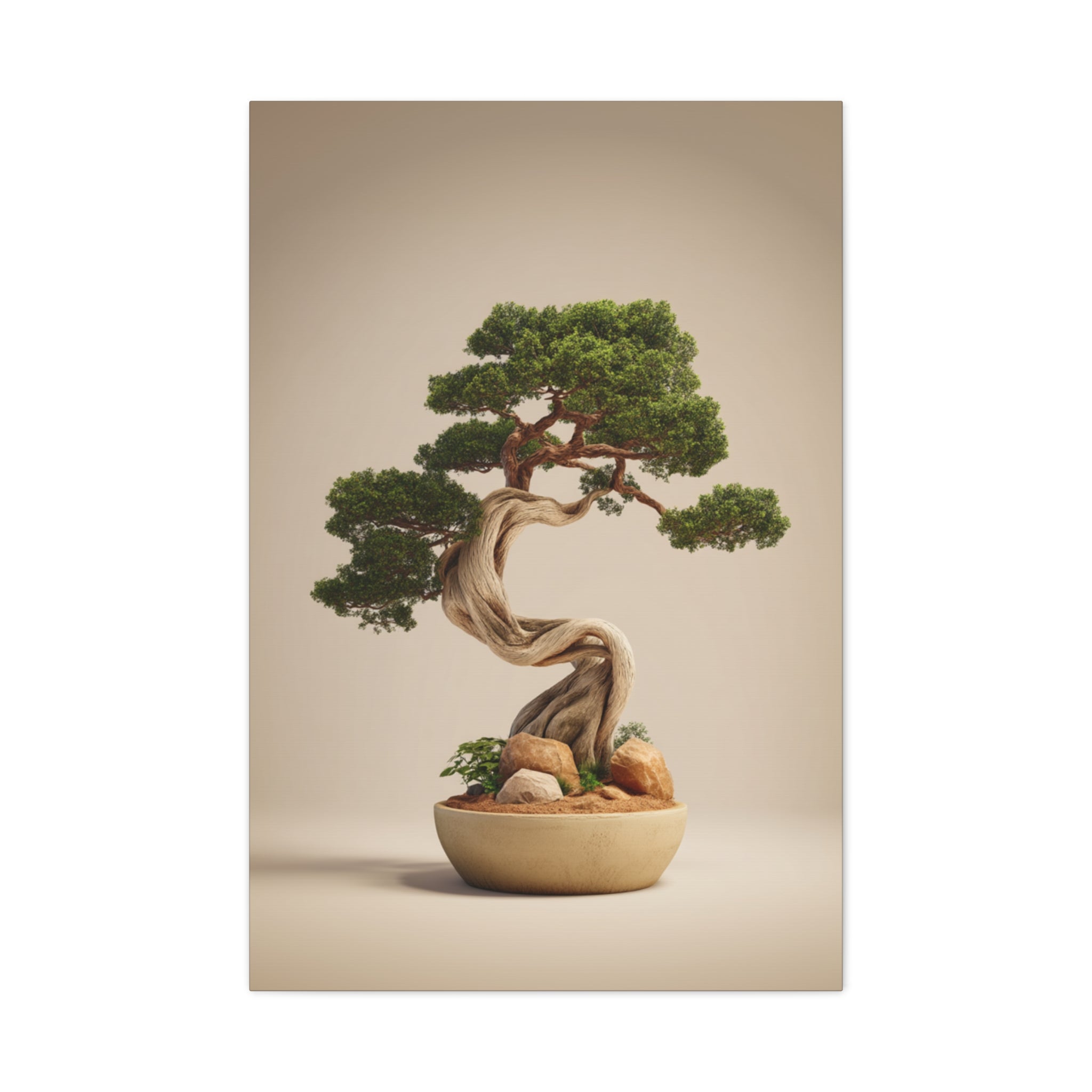 Bonsaï de la sagesse terrestre