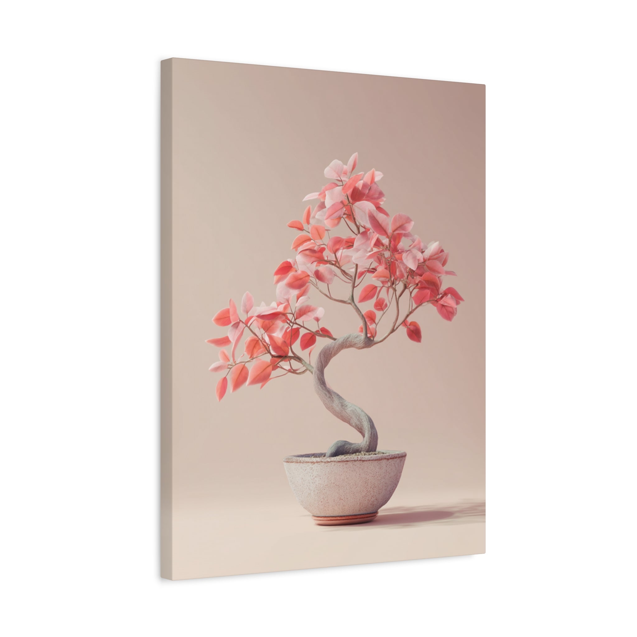 Bonsaï Blush Harmony