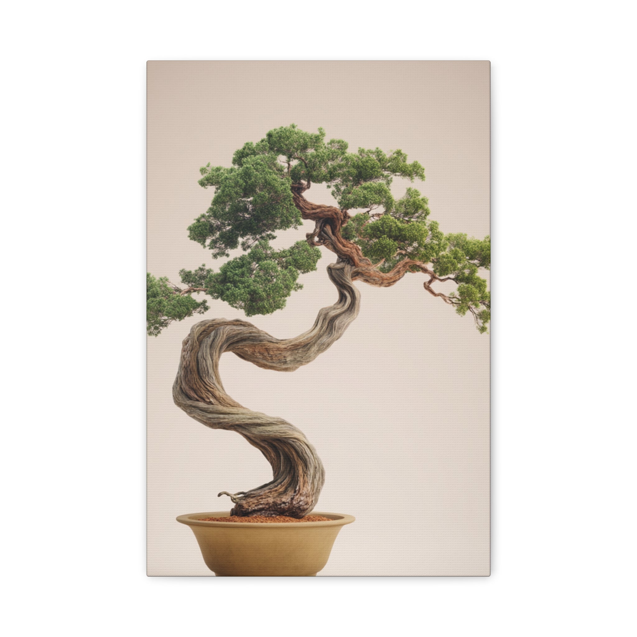 Bonsai Tree Matte Canvas Wall Art – Stretched 1.25"