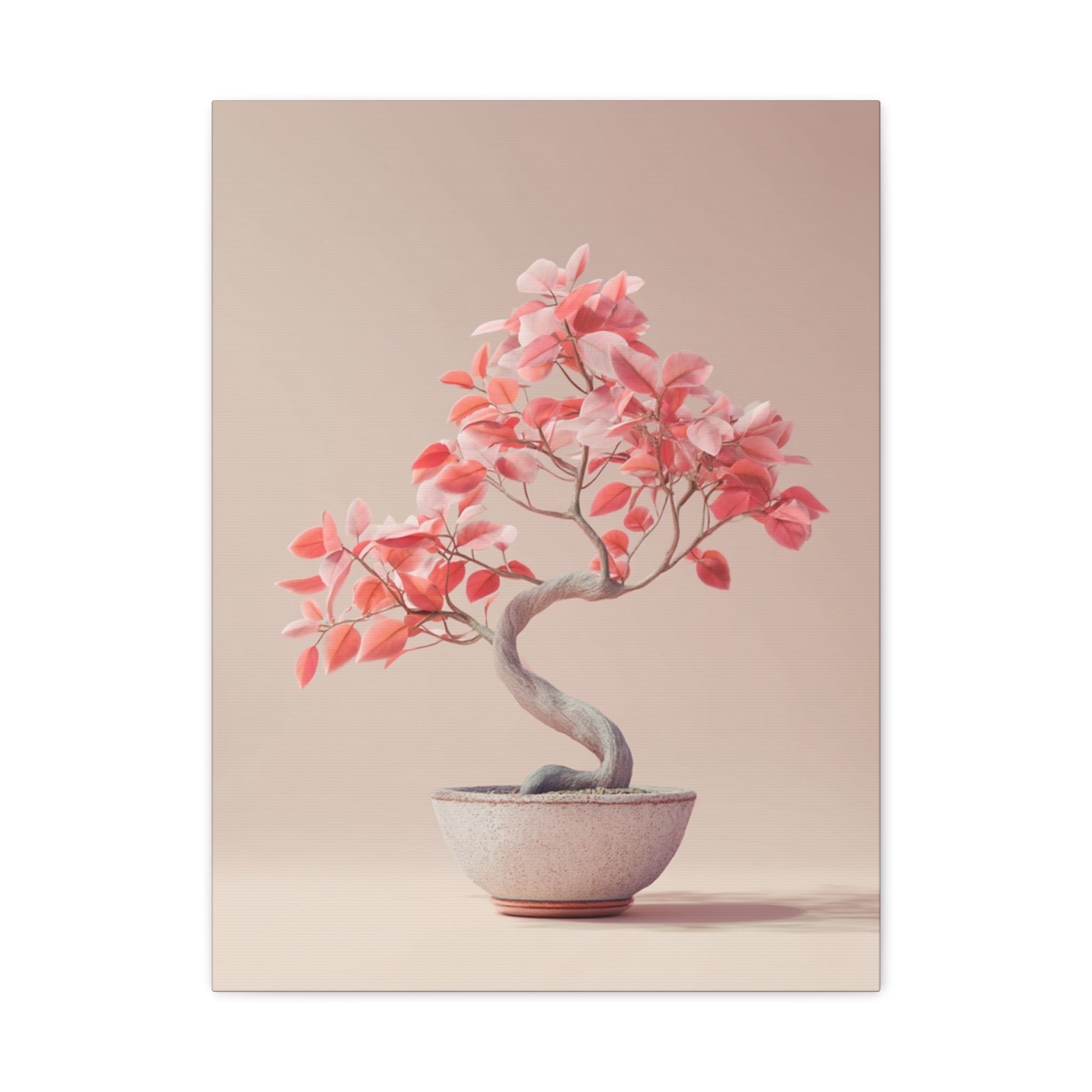 Bonsaï Blush Harmony