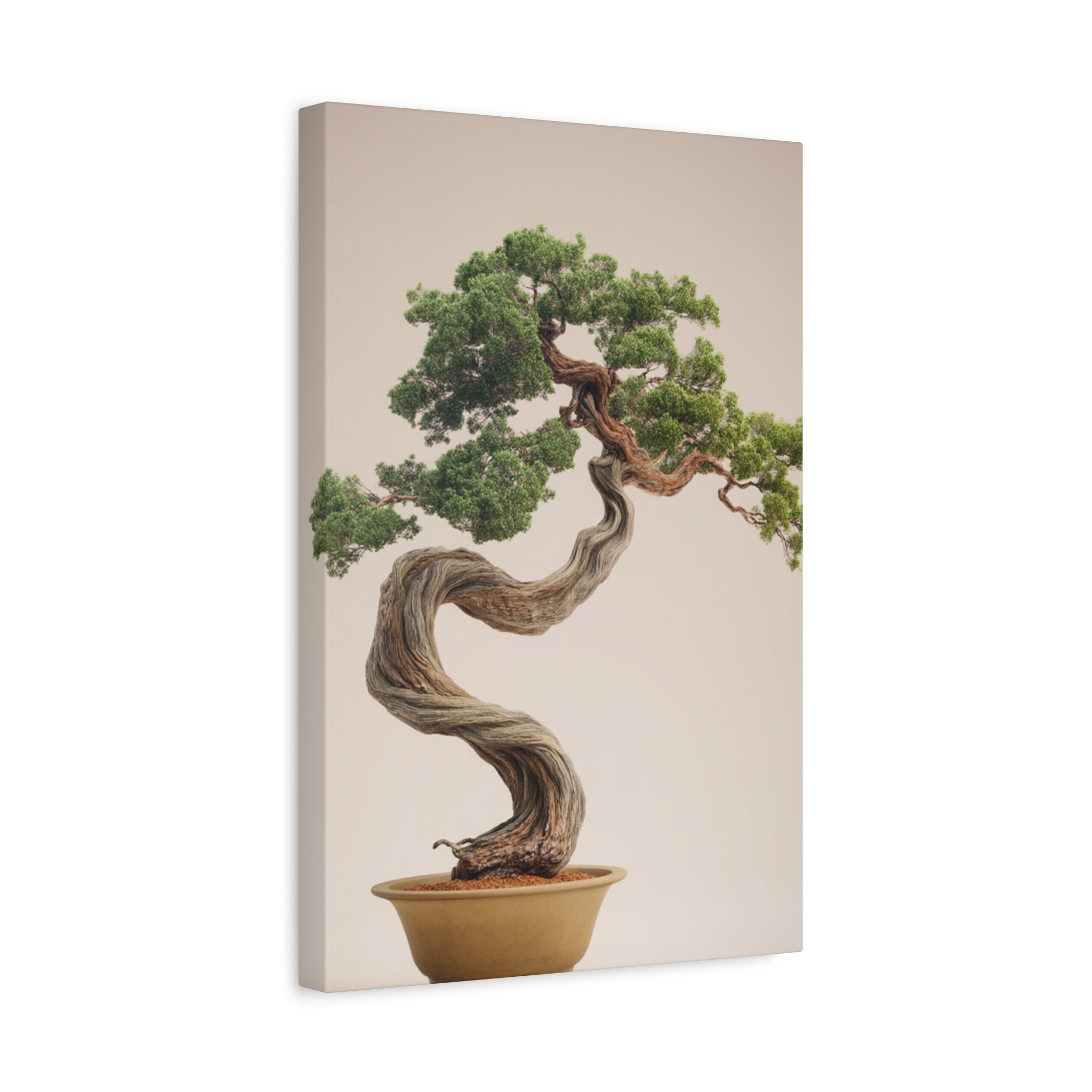 Bonsai Tree Matte Canvas Wall Art – Stretched 1.25"