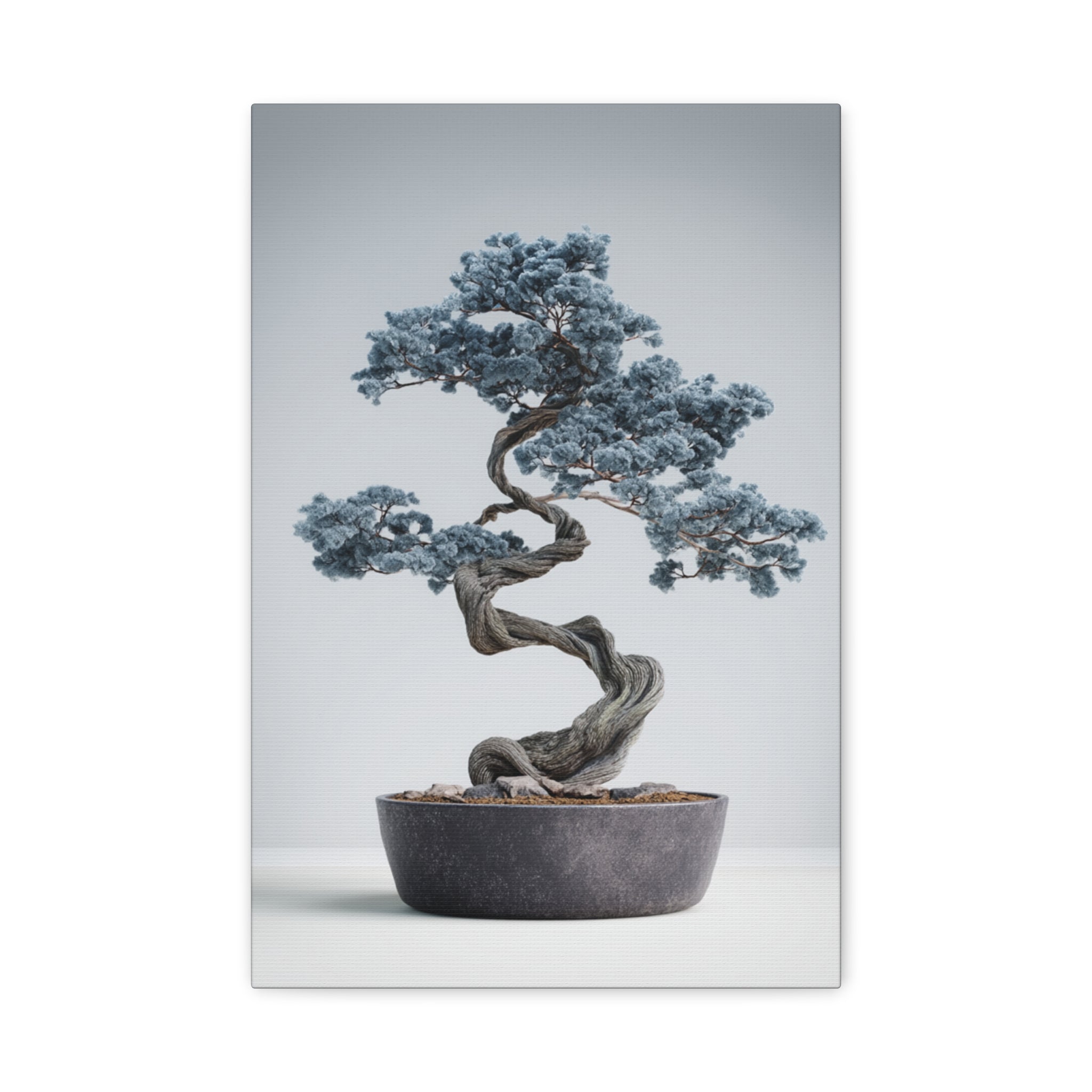 Slate Horizon Bonsai