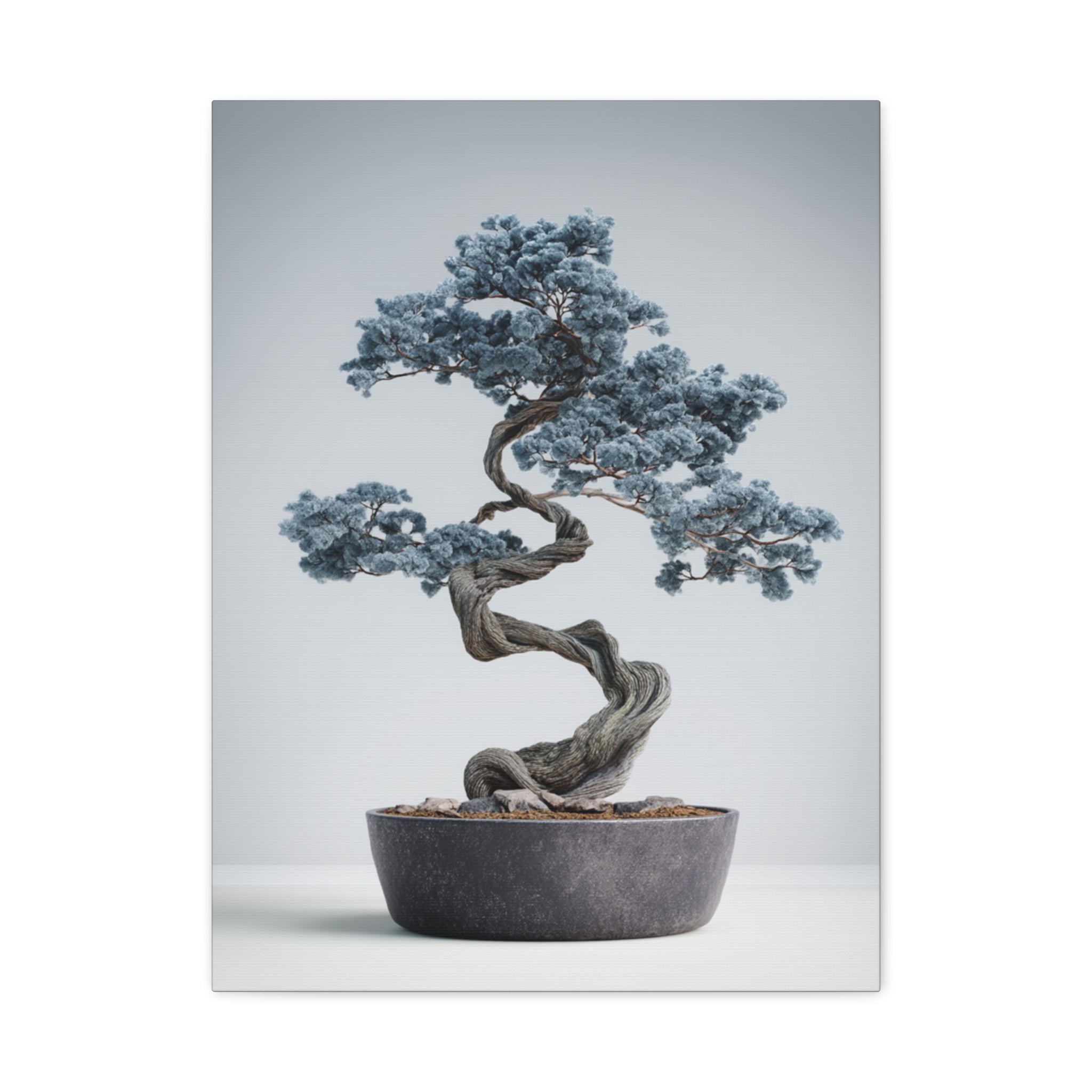 Slate Horizon Bonsai