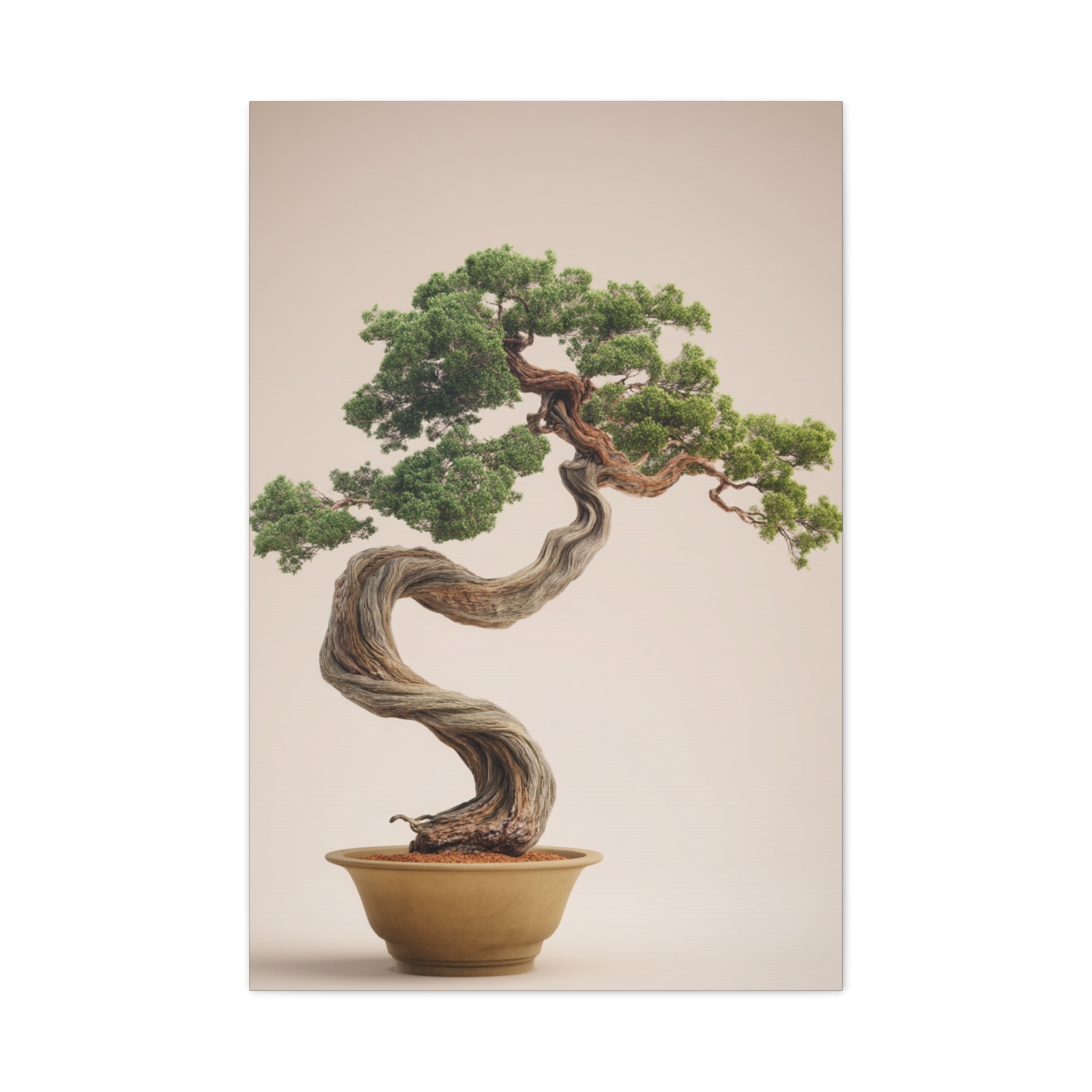 Bonsai Tree Matte Canvas Wall Art – Stretched 1.25"