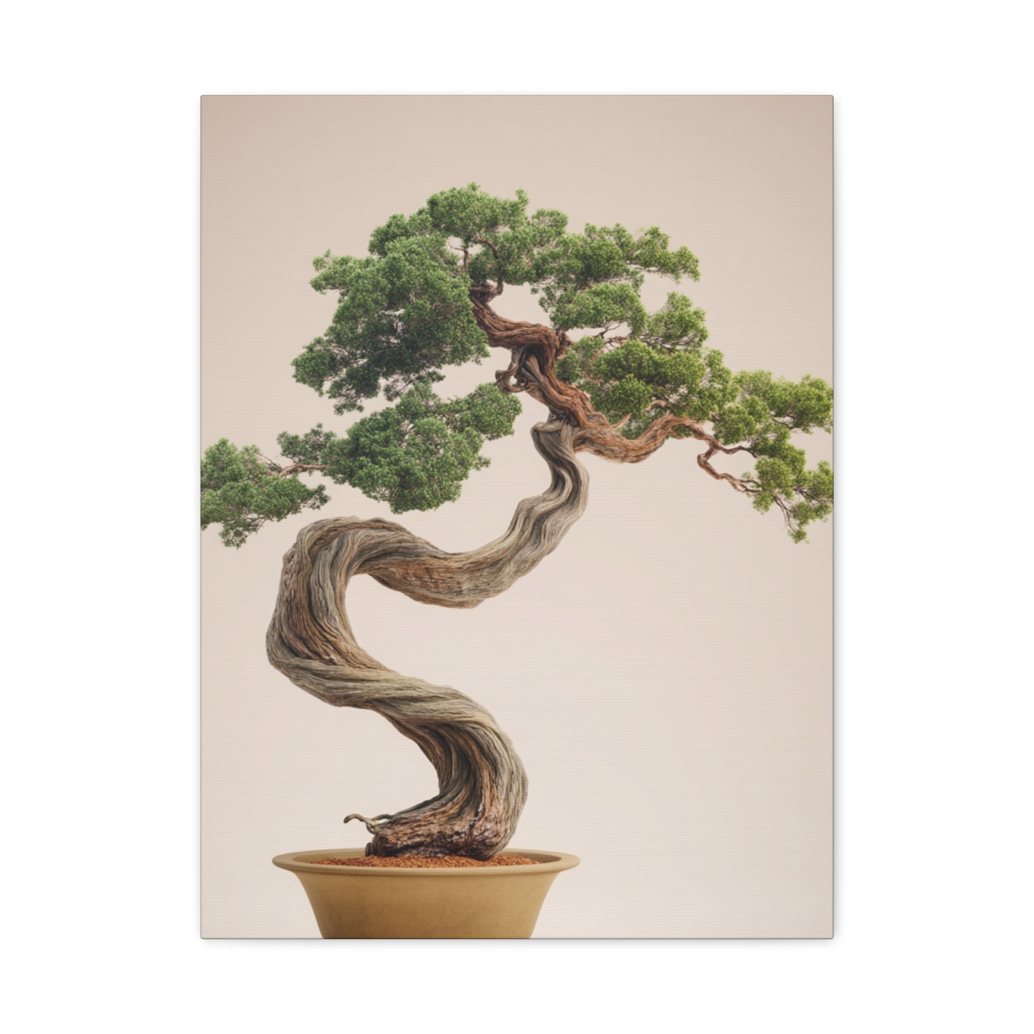 Bonsai Tree Matte Canvas Wall Art – Stretched 1.25"