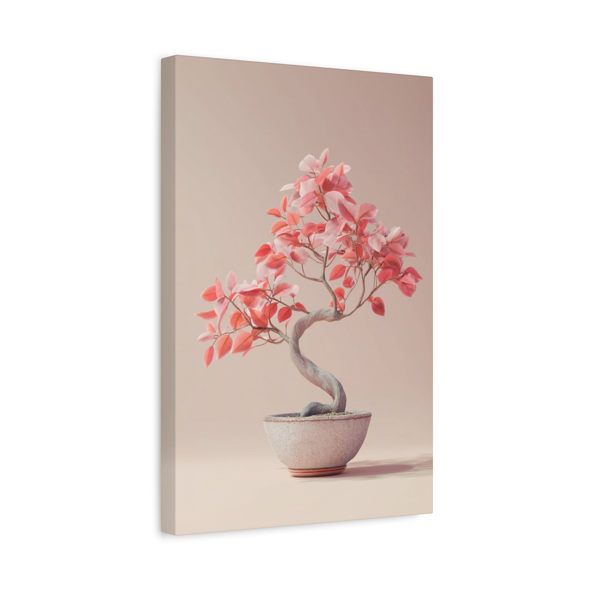 Bonsaï Blush Harmony