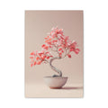 Bonsaï Blush Harmony