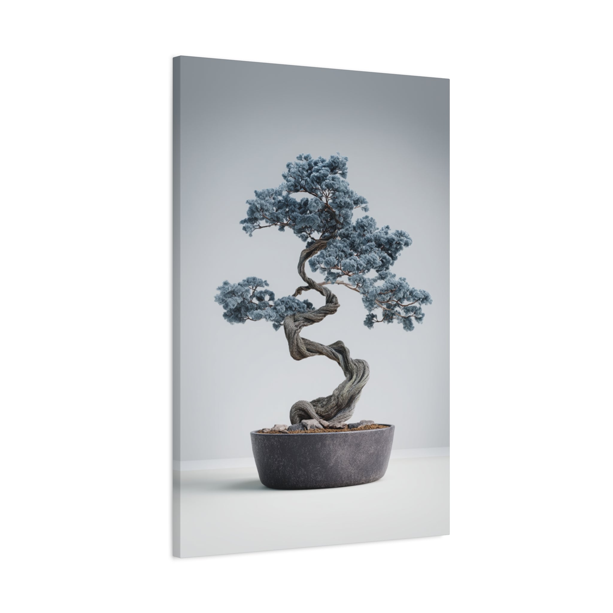 Slate Horizon Bonsai