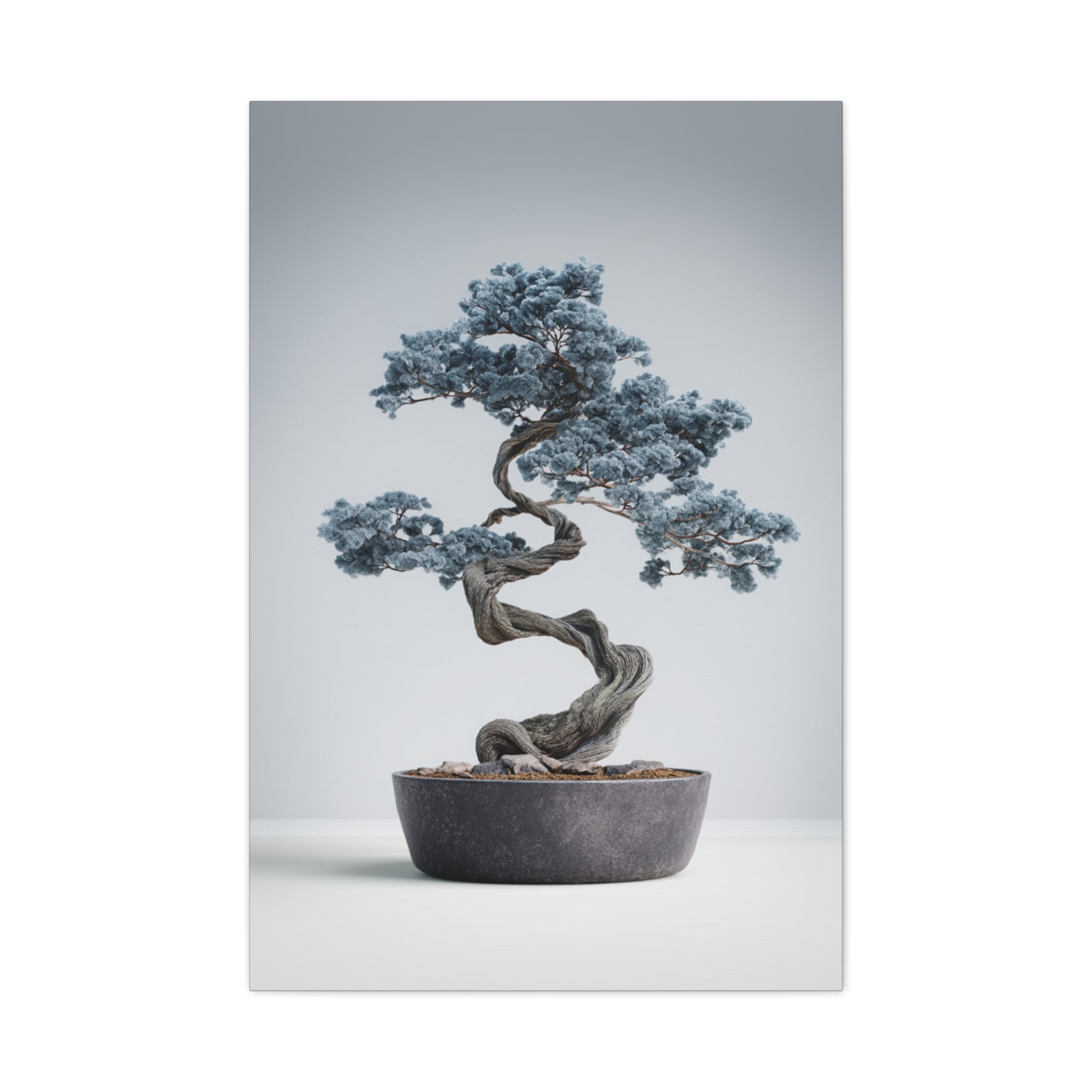 Slate Horizon Bonsai